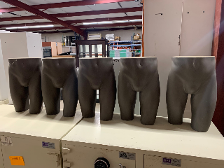 Used Male Lower Torso Forms